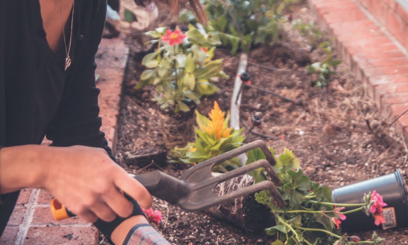 Remove the strain from gardening